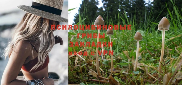 прущая мука Алексин
