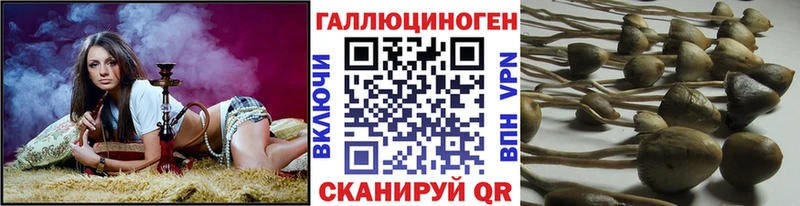 наркота  Еманжелинск  Галлюциногенные грибы Psilocybine cubensis 