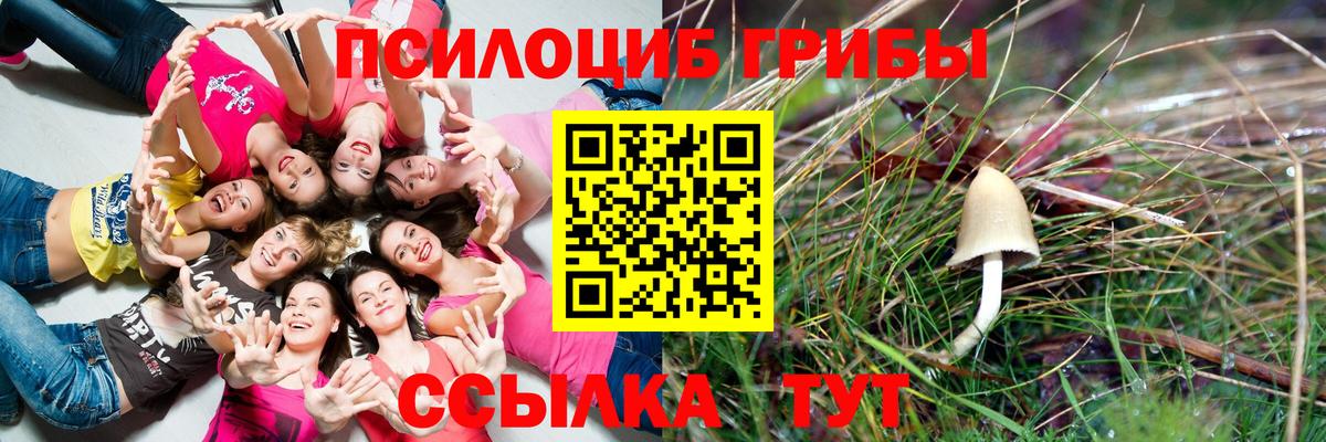 Псилоцибиновые грибы Psilocybine cubensis  Вход с VPN  Еманжелинск  как найти закладки  Галлюциногенные грибы Psilocybe 